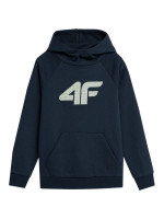 Sweatshirt 4F Jr. 4FJSS23TSWSM220 31S (119445)