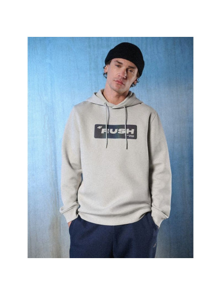 Men's regular hooded sweatshirt 4F 4FRSS26TSWSM2801-27S (332474)