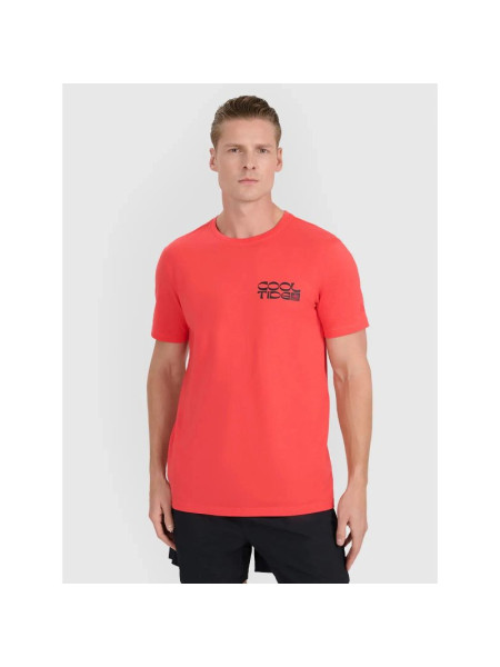 Men's regular printed T-shirt 4F 4FWSS25TTSHM1984-63S (280072)
