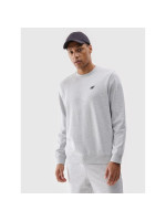 Men's sweatshirt without zipper, without hood, 4F 4FWMM00TSWSM1767-27M (240320)