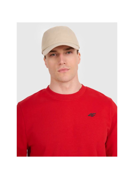 Men's sweatshirt without zipper, without hood, 4F 4FWMM00TSWSM1767-062S (237318)