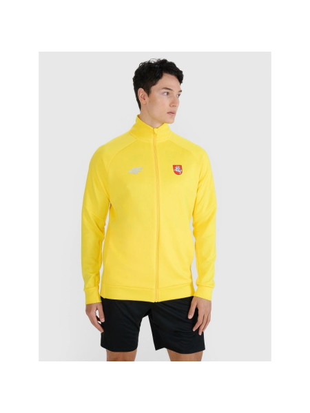 Men's training sweatshirt without hood 4F 4FSAW24TFSWM0811-71S (311986)