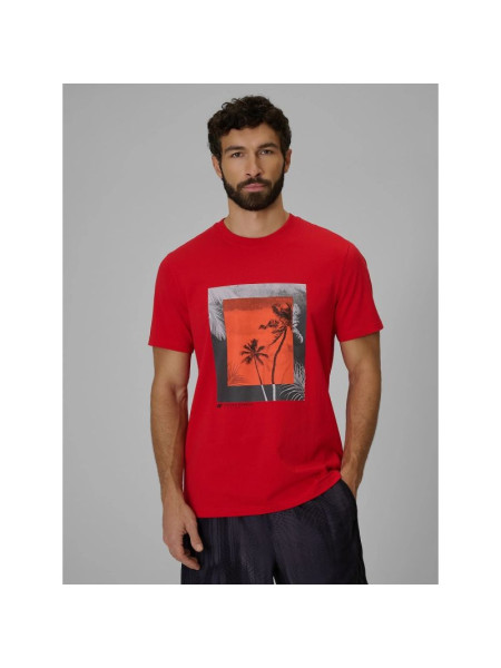 Men's regular printed T-shirt 4F 4FWSS26TTSHM3034-62S (322786)