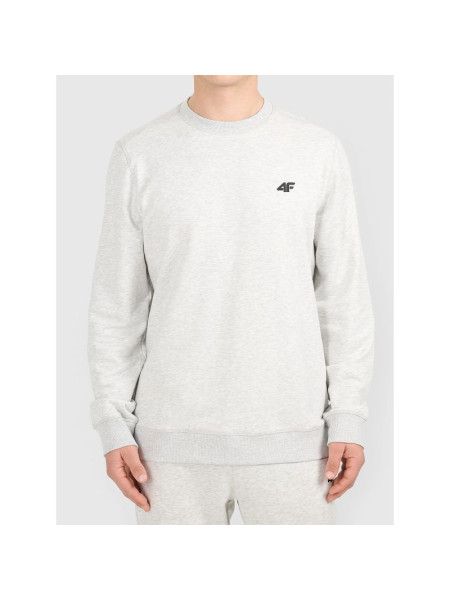 Men's sweatshirt without hood 4F 4FWMM00TSWSM2549-27M (360439)