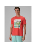 Men's regular printed T-shirt 4F 4FRSS26TTSHM4304-63S (326407)