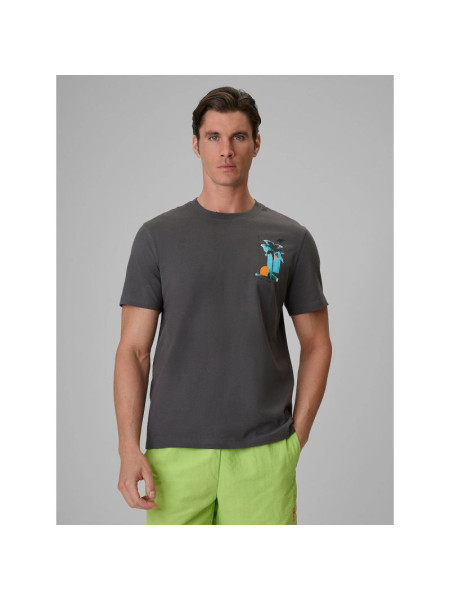 Men's regular printed T-shirt 4F 4FRSS26TTSHM4301-22S (337741)