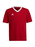 T-shirt adidas Entrada 22 Jsy Jr H57496 (92425)