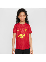 Nike Liverpool FC Academy Pro SS Top Jr FQ0013-688 (215201)