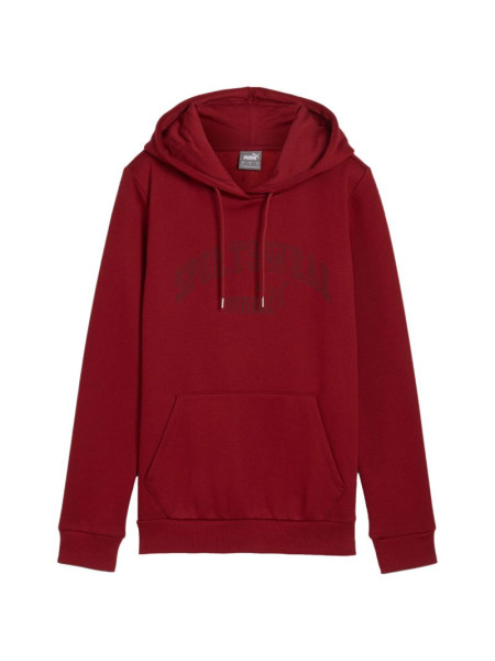 Puma Ess+ Logo LAB Hoodie FL W 682987 13 (202039)