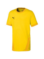 Puma teamGOAL 23 Jersey Jr T-shirt 704160 07 (181357)