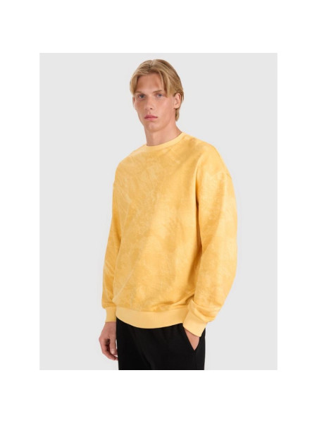 Men's sweatshirt without zipper, without hood 4F 4FWSS25TSWSM1582-71A (244924)