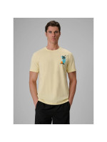 Men's regular printed T-shirt 4F 4FRSS26TTSHM4301-73S (337742)