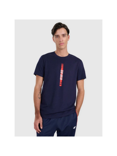 Men's regular printed T-shirt 4F 4FRAW25TTSHM3225-31S (245849)