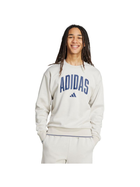 Men's adidas Collegiate Sweatshirt Gray JM1732 (243168)