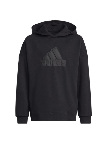 Sweatshirt adidas FI Logo HD Jr. HR6301 (131419)