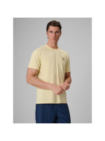Men's regular printed T-shirt 4F 4FRSS26TTSHM4293-73S (337732)