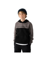4F M1222 Jr sweatshirt 4FJWAW24TSWSM1222-20S (219401)