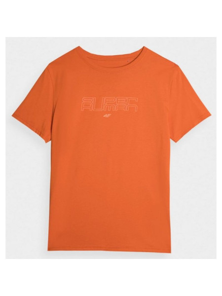 T-shirt 4F M 4FAW23TTSHM0865-70S (186639)