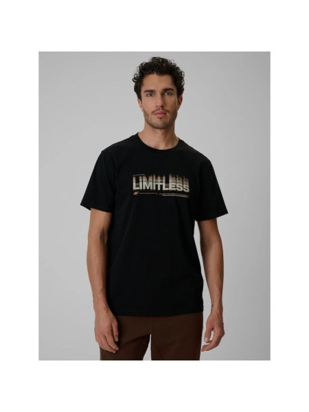 Men's regular printed T-shirt 4F 4FRSS26TTSHM4227-20S (366281)
