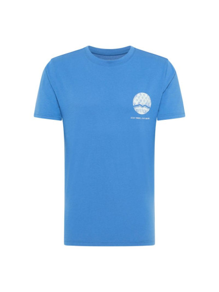 Mustang T-shirt Alex C Print M 1013548 5234 (126685)