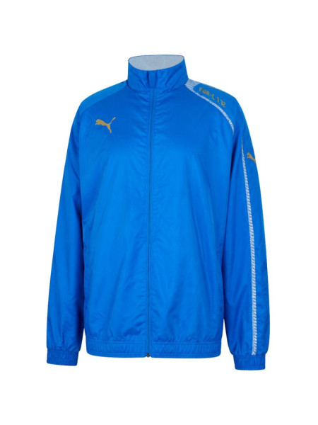 Puma IT King men's sweatshirt blue 653113 02 (317738)