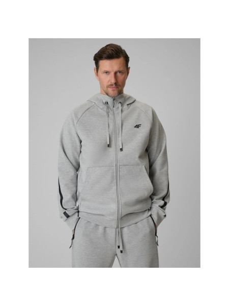 Men's regular hooded sweatshirt 4F 4FRSS26TSWSM2974-27M (318735)