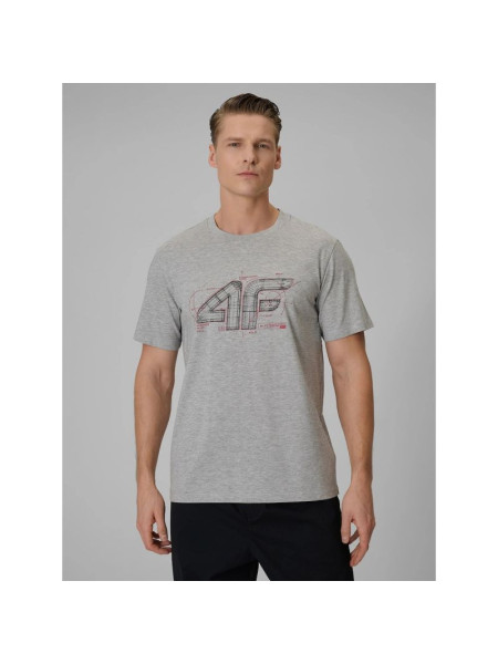 Men's regular-fit graphic T-shirt 4F 4FRSS26TTSHM3989-10S (364205)