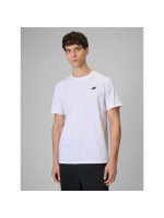 Men's regular plain T-shirt 4F 4FRMM00TTSHM4192-10S (311981)