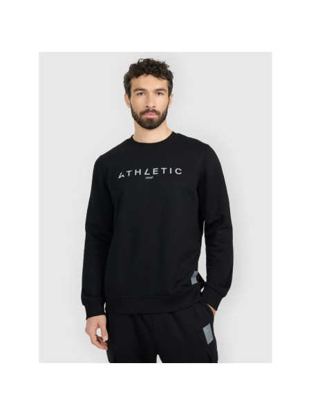 Men's sweatshirt without zipper and hood 4F 4FRAW25TSWSM2573-20S (289638)