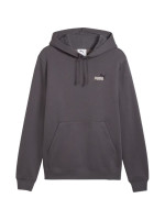 Men's Puma ESS 2 Color Small No.1 Logo Hoodie, grey, 684718 77 (370519)
