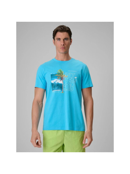 Men's regular printed T-shirt 4F 4FRSS26TTSHM4303-33S (326405)