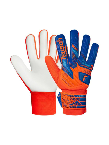 Goalkeeper gloves Reusch Attrakt Starter Solid M 5570514 2290 (213296)