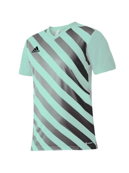 T-shirt adidas Entrada 22 Graphic Jersey Jr HF0127 (97041)