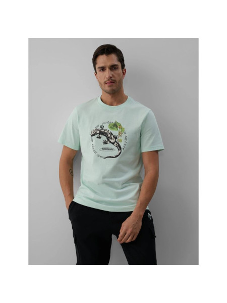 Men's regular printed T-shirt 4F 4FKAW26TTSHM4474-47S (352644)
