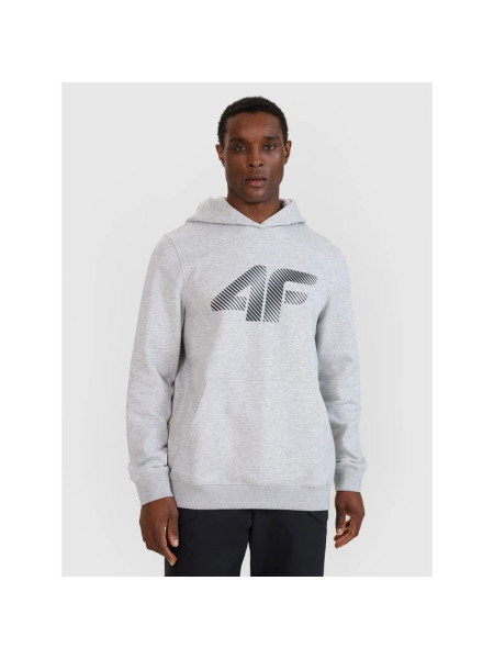 Men's sweatshirt with hood, open, 4F 4FWMM00TSWSM1766-27M (237316)