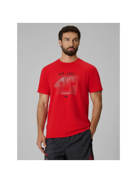 Men's regular printed T-shirt 4F 4FRSS26TTSHM4039-62S (337725)