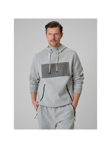 Men's regular hooded sweatshirt 4F 4FRSS26TSWSM2975-20S (318737)