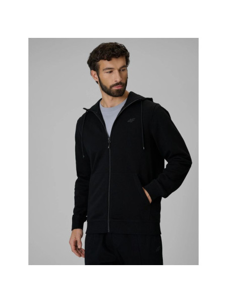 Men's regular hooded sweatshirt 4F 4FRMM00TSWSM3058-20S (311971)
