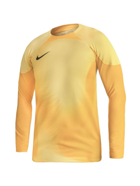 Nike Gardien IV Goalkeeper JSY M DH7967 719 goalkeeper shirt (115596)