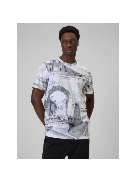 Men's regular printed T-shirt 4F 4FRSS26TTSHM3641-97A (317794)
