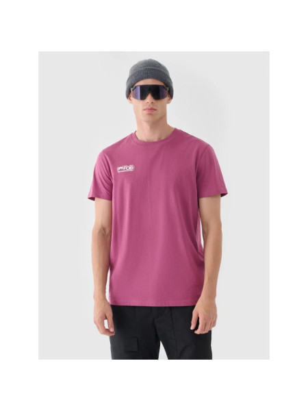 Men's regular plain T-shirt 4F 4FRAW24TTSHM2602-60S (268817)
