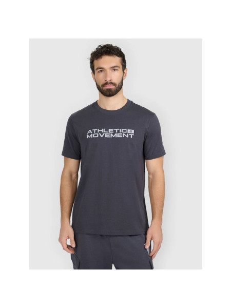 Men's regular printed T-shirt 4F 4FRAW25TTSHM3384-22S (305988)