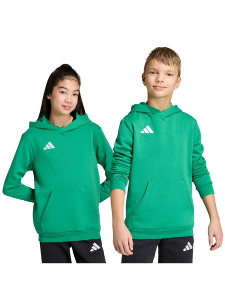Adidas Entrada 26 Hoody green JZ6563 kids' sweatshirt (261116)