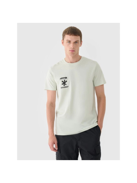 Men's regular printed T-shirt 4F 4FRAW24TTSHM2603-47S (260754)