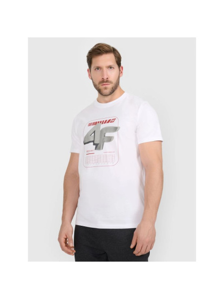 Men's regular printed T-shirt 4F 4FRAW25TTSHM3612-10S (355643)